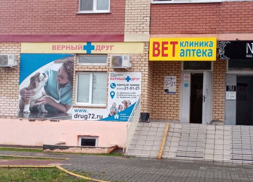 +79199260341 звонок из Верный друг