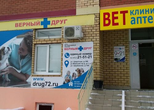 +79199260341 звонок из Верный друг
