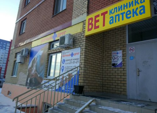 +79199260341 звонок из Верный друг