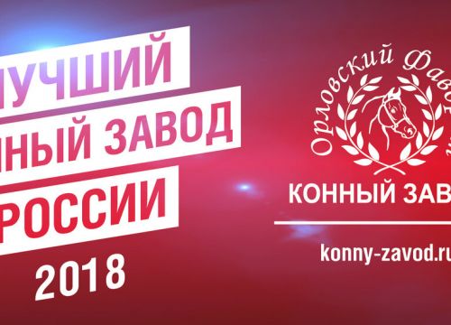 +79199271194 звонок из Конный завод Орловский Фаворит