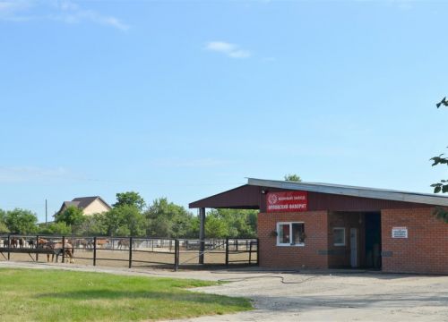 +79199271194 звонок из Конный завод Орловский Фаворит