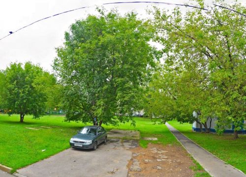 +79199671130 звонок из Арте Колоре