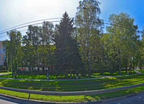 +79200190444 звонок из Клуб любителей кошек Багира