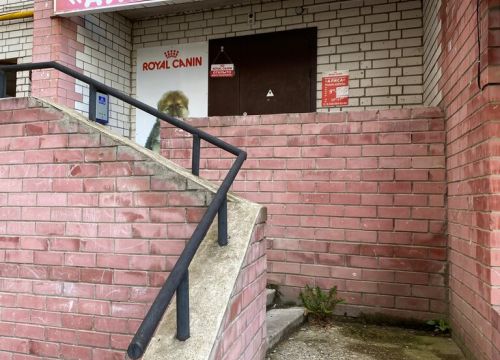 +79200640263 звонок из Алиса