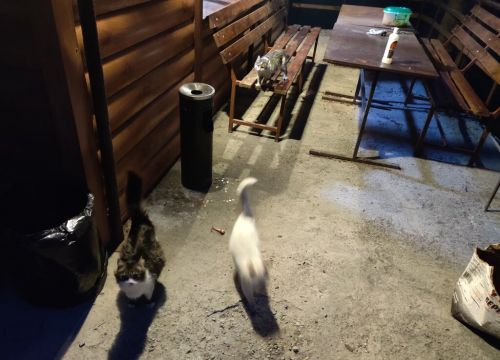 +79202290229 звонок из Сказка