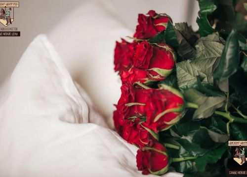 +79202541274 звонок из Дисконт центр Роз