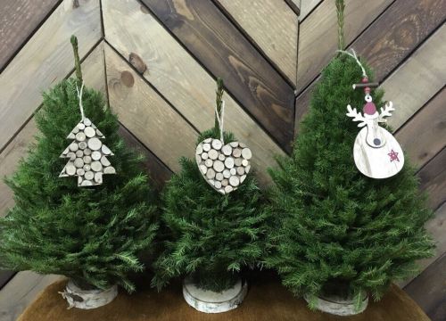 +79202541274 звонок из Дисконт центр Роз