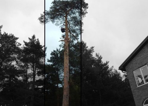 +79202750395 звонок из Промышленные альпинисты