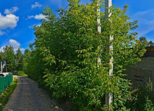 +79203400222 звонок из Вип Сауна