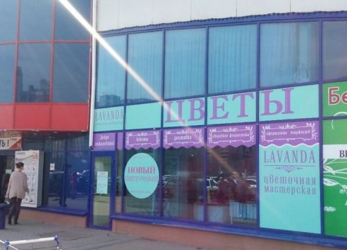 +79204060756 звонок из Лаванда цветы