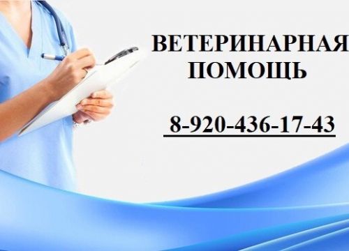 +79204361743 звонок из Ветеринарная помощь