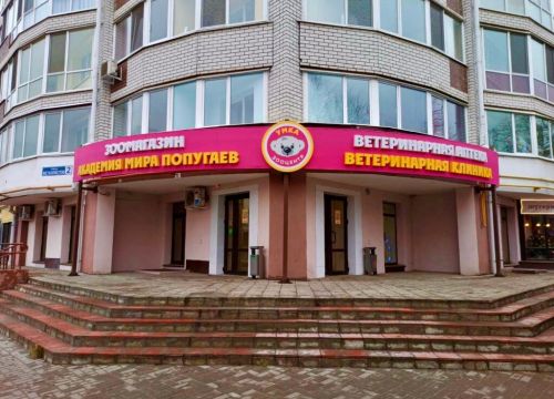 +79206030505 звонок из Ветеринарный зооцентр Умка