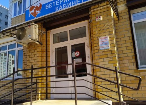 +79206033355 звонок из Vet-здоровье