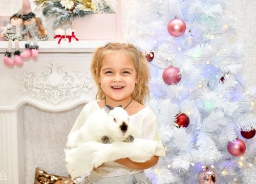 +79207001131 звонок из Бомба праздник