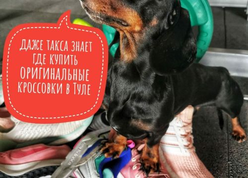 +79207520095 звонок из Tamalaks