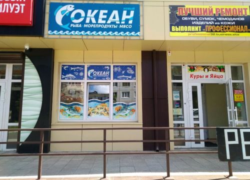 +79208550692 звонок из Океан