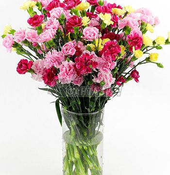 +79208610880 звонок из Эдемский сад