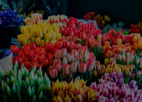 +79208610880 звонок из Эдемский сад