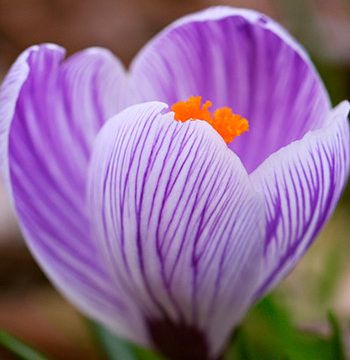 +79208610880 звонок из Эдемский сад