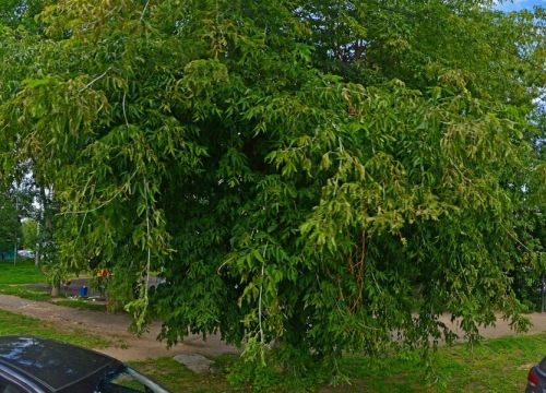 +79209010200 звонок из Заточка профессионального инструмента