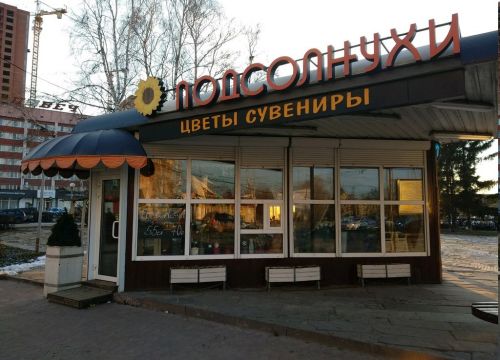 +79209792321 звонок из Подсолнухи