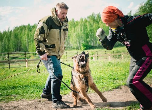 +79209841605 звонок из Ферма РомТат