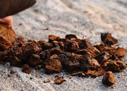 +79210513111 звонок из Пункт приема чаги