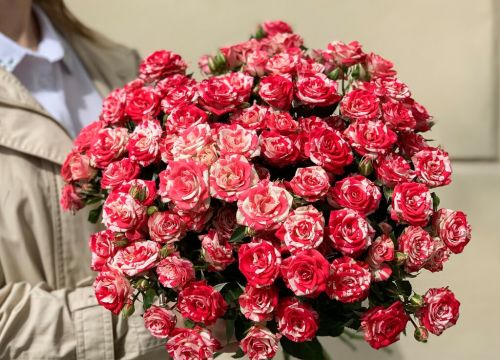 +79210513777 звонок из Цветочник