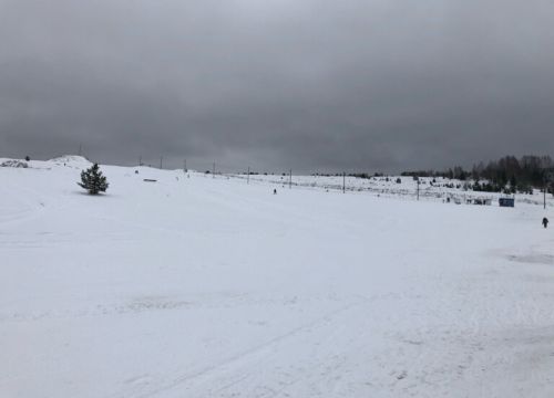 +79212461374 звонок из Петровский