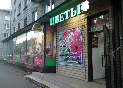 +79213241177 звонок из Цветы