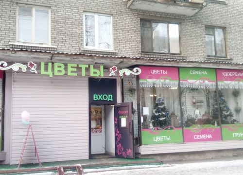 +79213241177 звонок из Цветы