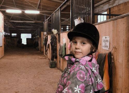 +79213301749 звонок из Конеферма Крибелевых