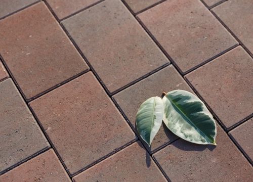 +79213733709 звонок из Выбор-СПб