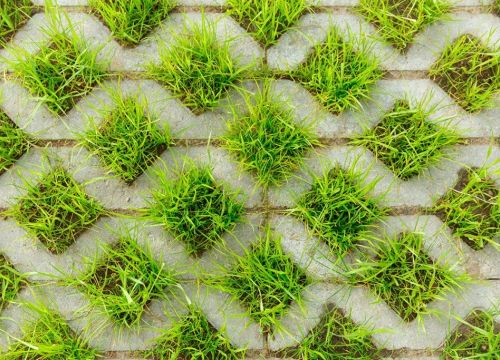 +79213733709 звонок из Выбор-СПб