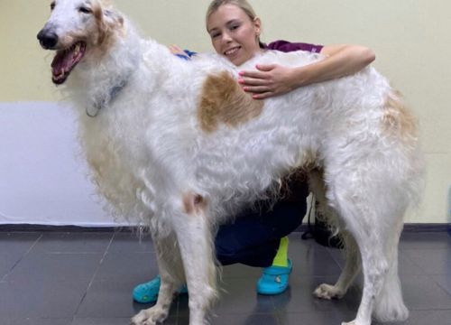 +79213945667 звонок из Общество с ограниченной ответственностью Криовет