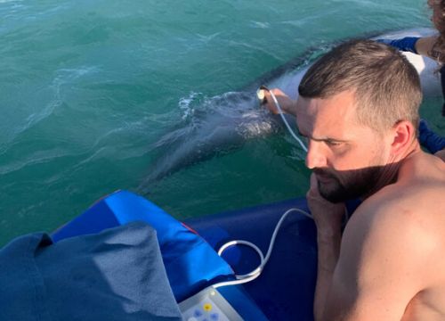 +79213945667 звонок из Общество с ограниченной ответственностью Криовет