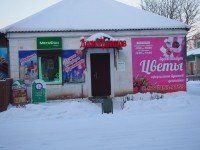 +79214939753 звонок из Дом цветов