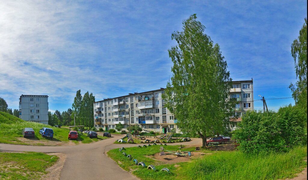 Яжелбицы новгородская область. Село Яжелбицы Новгородской области. Село Яжелбицы Валдайского района Новгородской области. Яжелбицкий района Яжелбицы. Рыбхоз Яжелбицы Валдайский район.