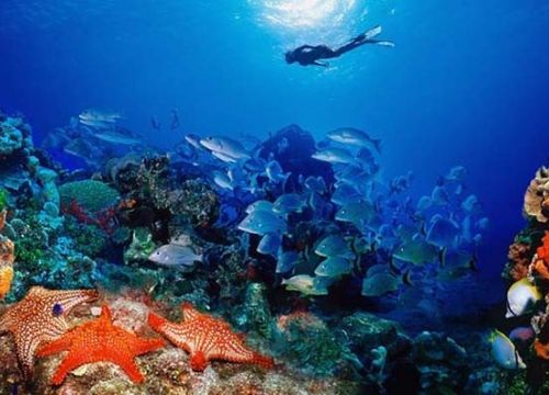 +79219140340 звонок из Global Diving