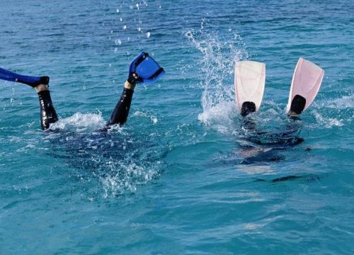 +79219140340 звонок из Global Diving