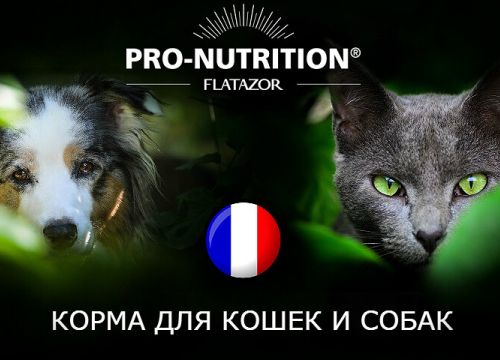 +79219381537 звонок из Зоогений