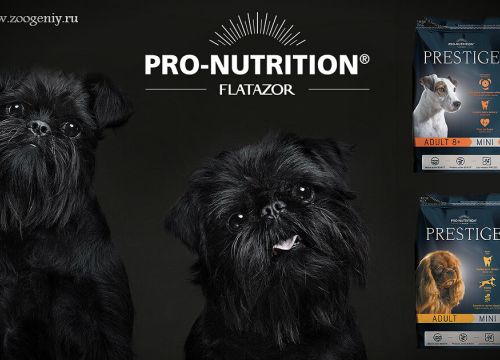 +79219381537 звонок из Зоогений