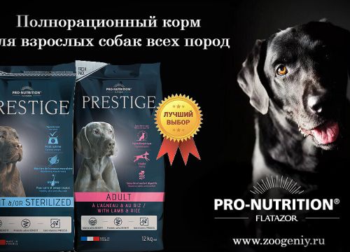 +79219381537 звонок из Зоогений