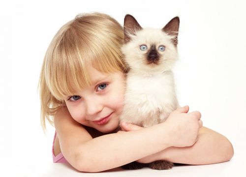 +79219400055 звонок из Рекламная фотостудия Игоря Сахарова