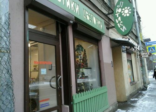 +79219430780 звонок из Лютики цветочки