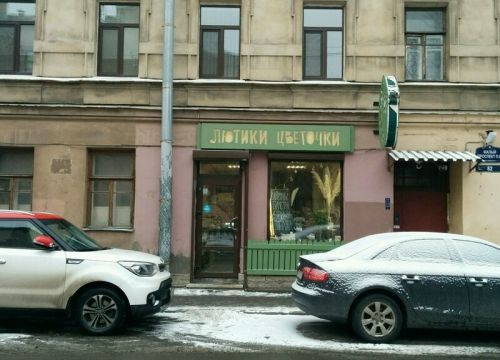 +79219430780 звонок из Лютики цветочки