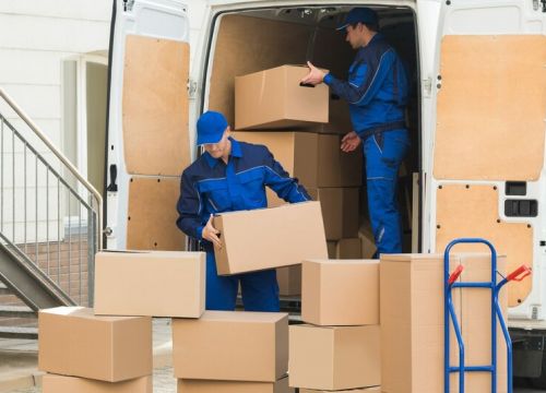 +79219550527 звонок из Хаски