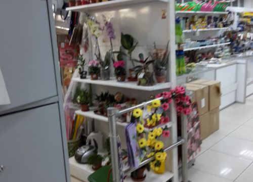 +79219750574 звонок из Цветы