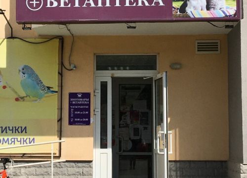 +79222220361 звонок из Живой мир