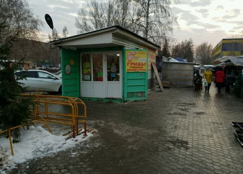 +79225328848 звонок из Грибная кухня